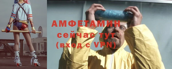 сатива Горняк