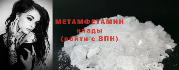 сатива Горняк