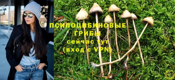 дурь Горнозаводск