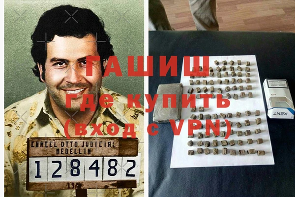 сатива Горняк