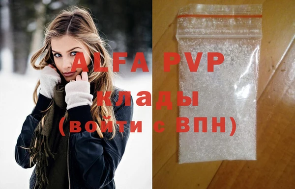 сатива Горняк
