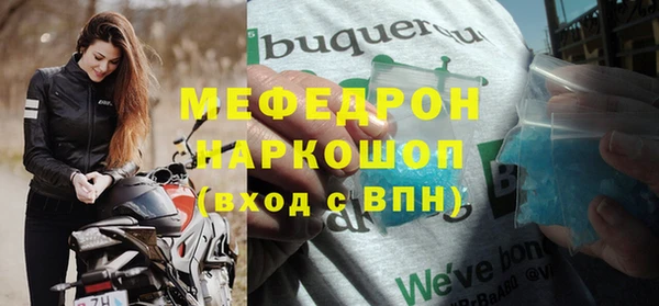 сатива Горняк