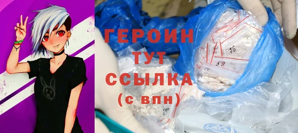 сатива Горняк