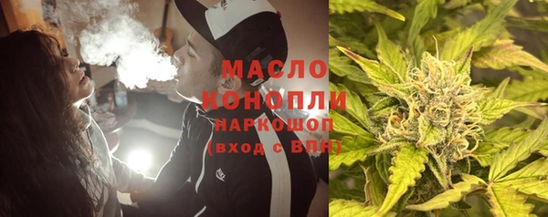 сатива Горняк
