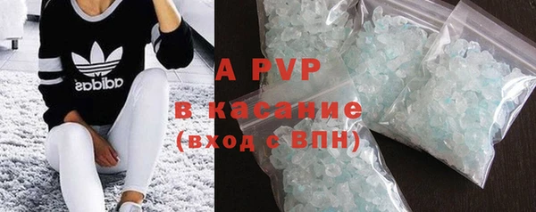 сатива Горняк
