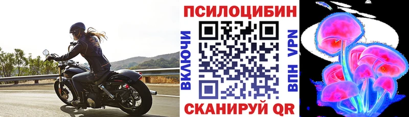 Псилоцибиновые грибы Cubensis  Дивногорск 
